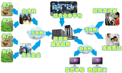 建設農(nóng)產(chǎn)品溯源系統(tǒng)的目的 與網(wǎng)絡技術服務相結(jié)合的行之有效之道