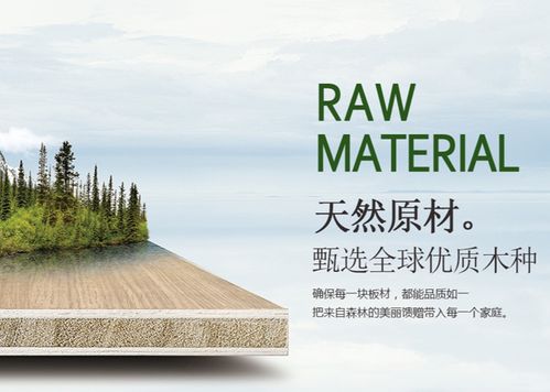 環保創新雙驅動，天山板材書寫發展輝煌新篇