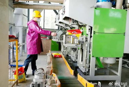 平江首屆貼磚大師技術交流會召開，聚焦環保砂漿技術開發與應用